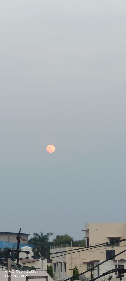 Nirmala Senwar tweet media