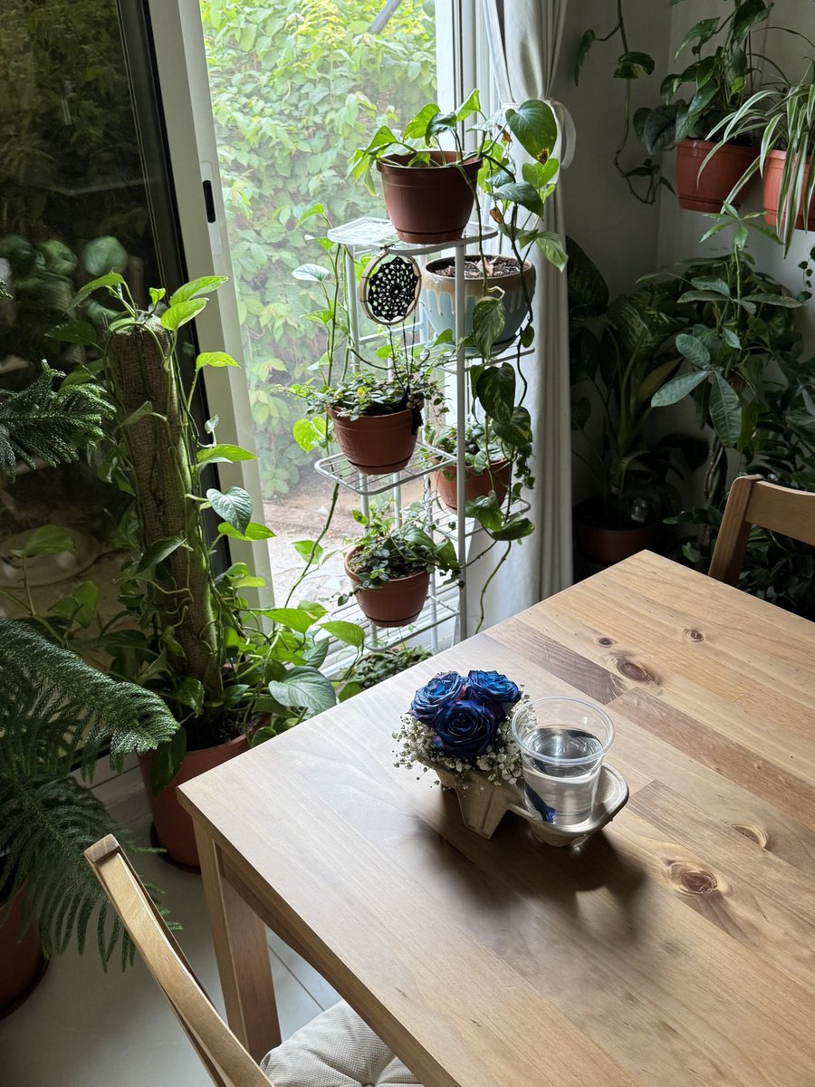 عاىسه tweet media