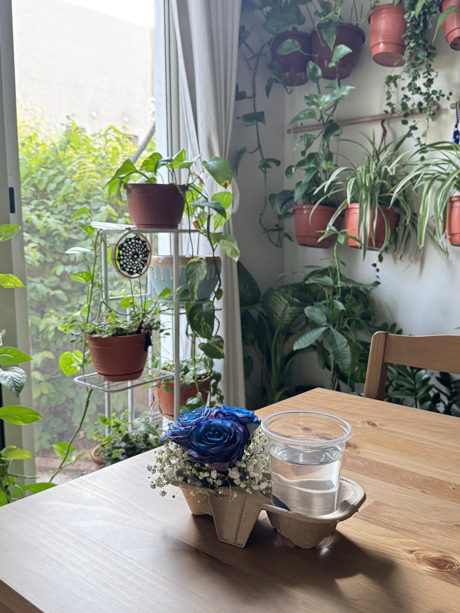 عاىسه tweet media