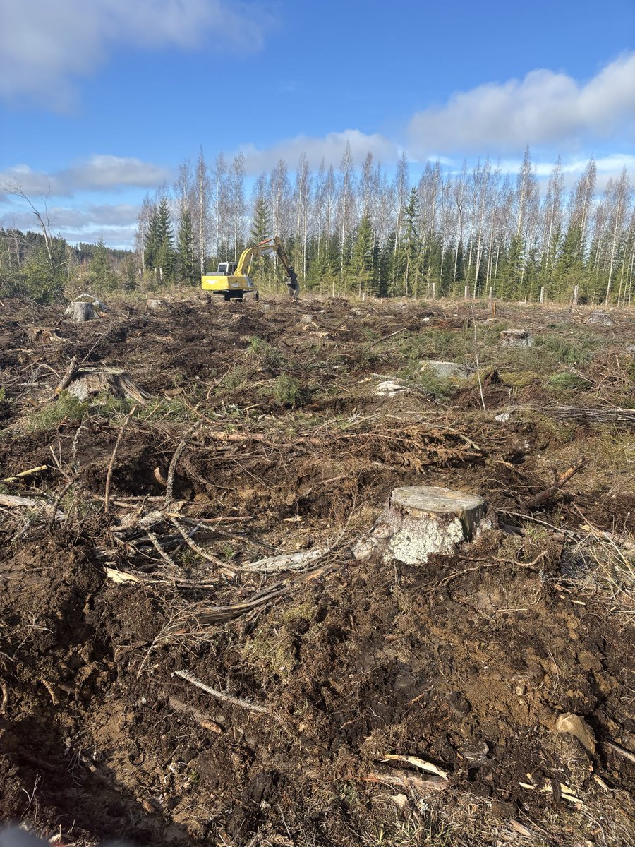 Matti Rauhalahti tweet media