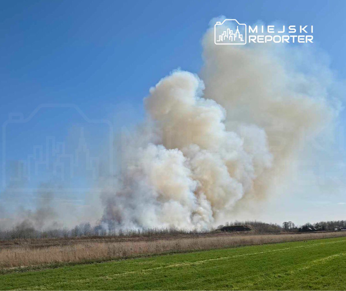 Miejski Reporter tweet media