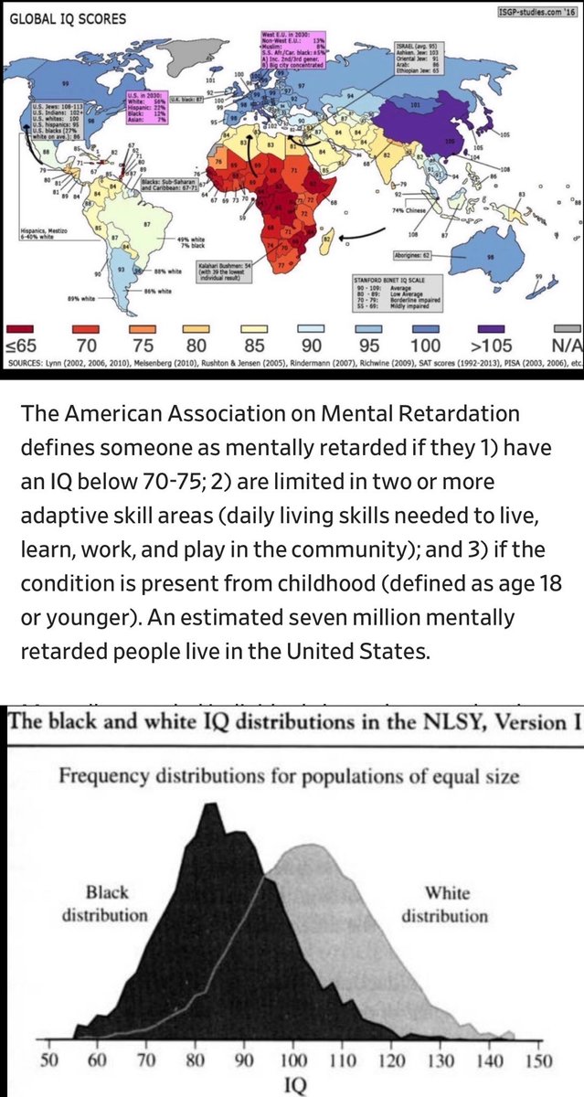 Paulie Penguins tweet media