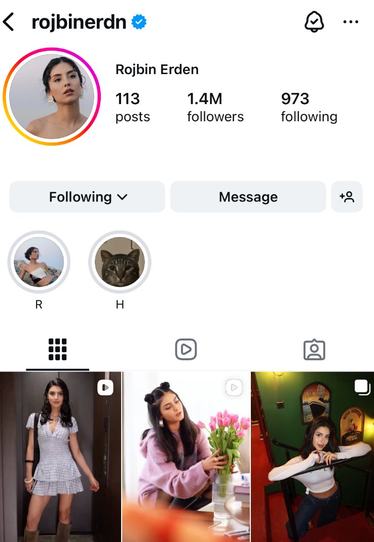 Rojbin Erden updates tweet media