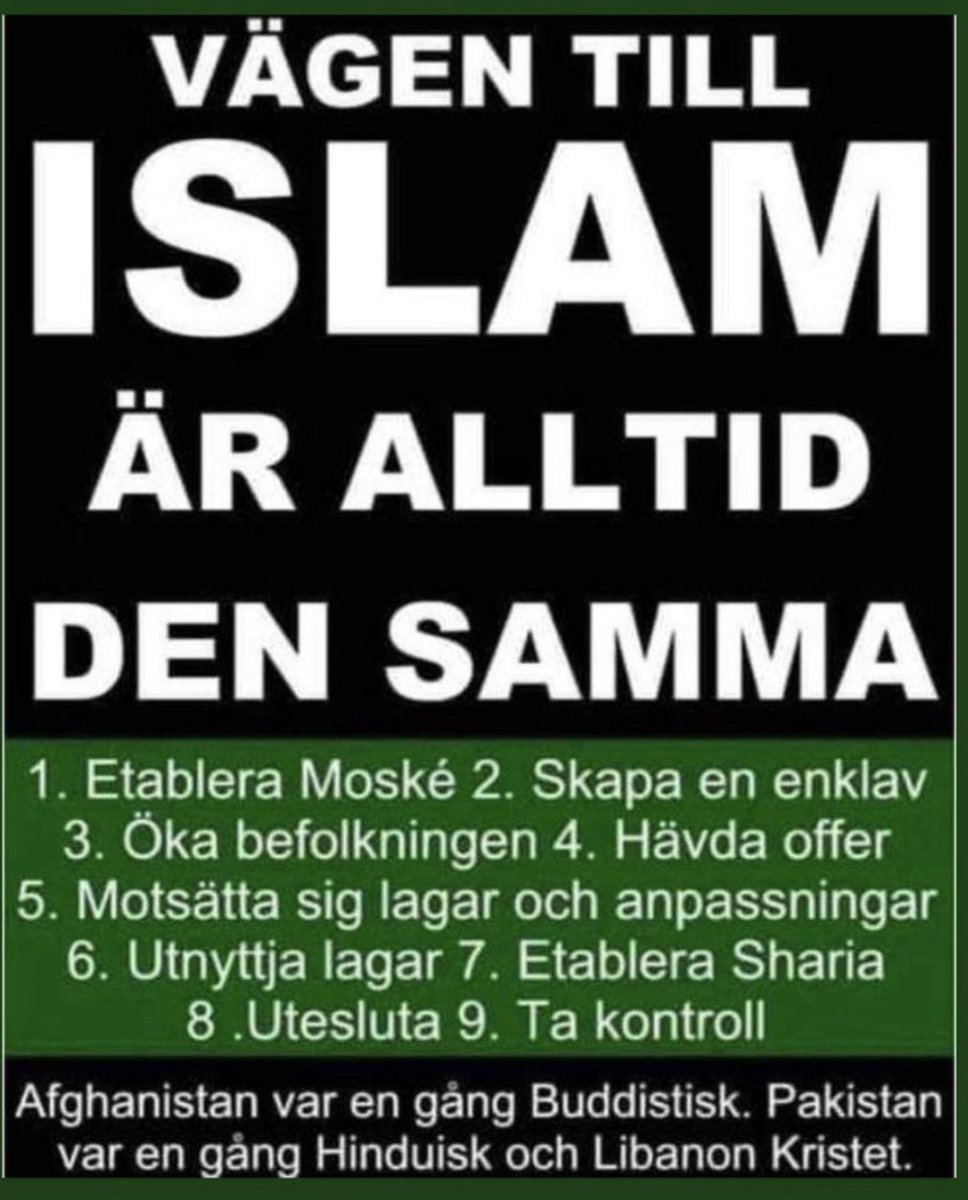 Hanna Zsenes tweet media