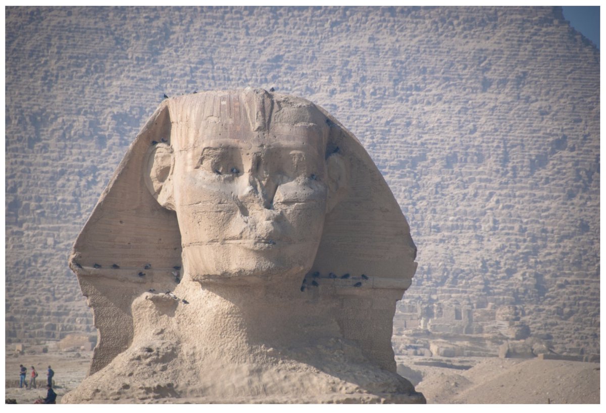 Seabreeze Partners tweet media