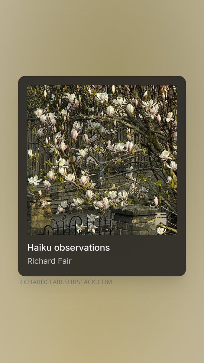 Thought Umbrella tweet media