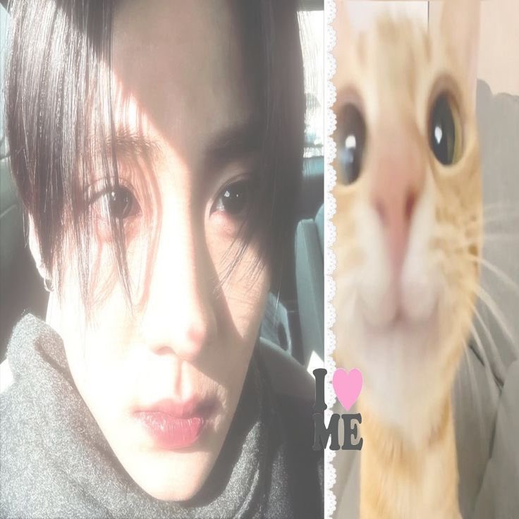 (─‿‿─) tweet media