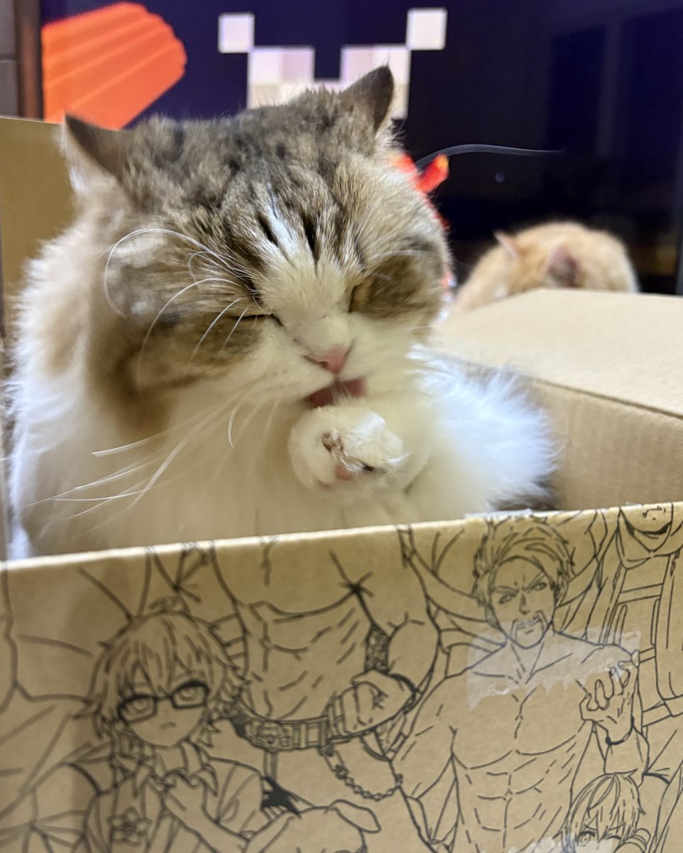 おんりー🍌 tweet media