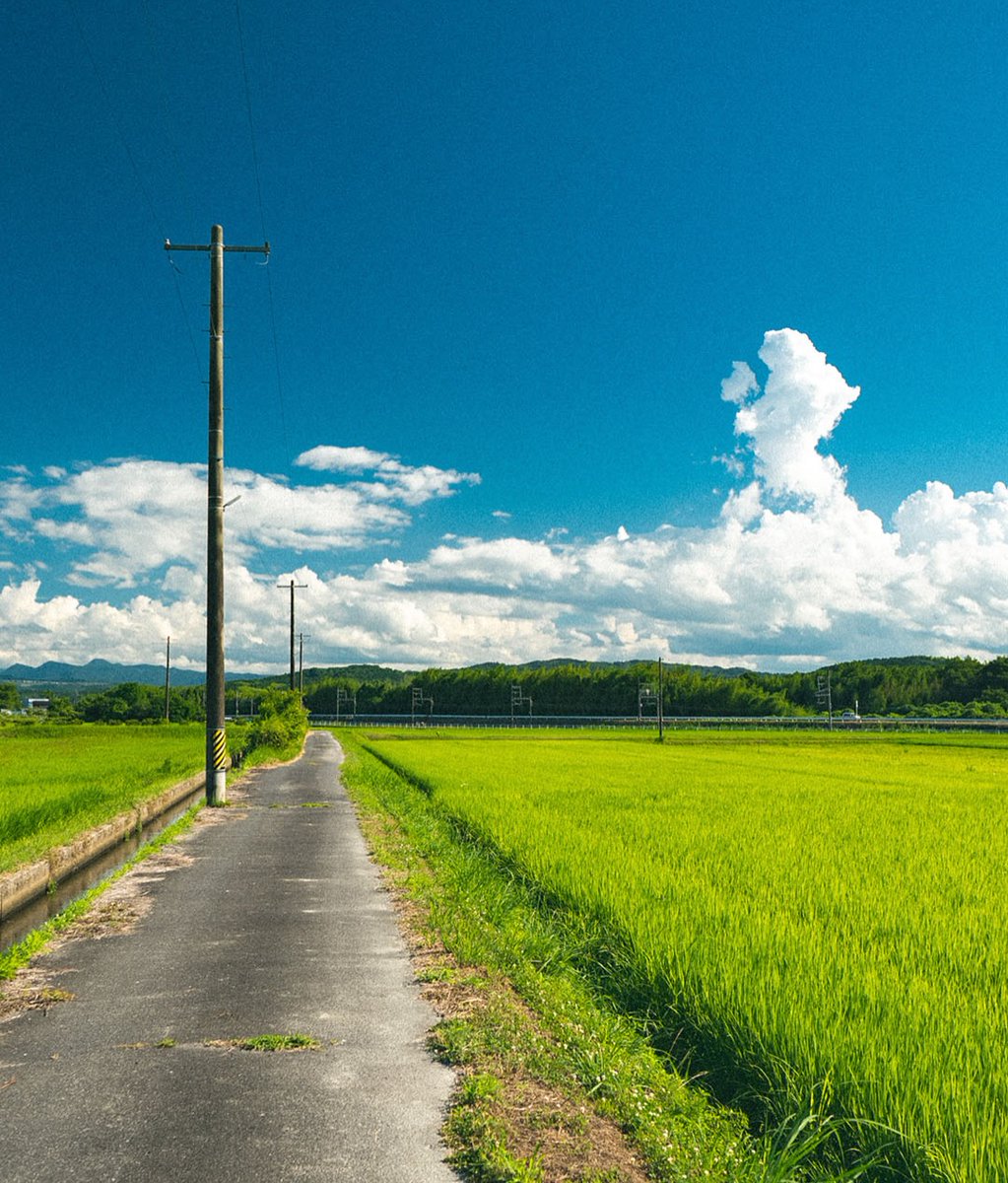 𝘄𝗮𝗻𝗱𝗲𝗿𝘁𝗿𝗮𝘃𝗲𝗹𝘀 tweet media