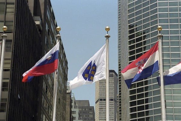 Mirnes Kovac tweet media