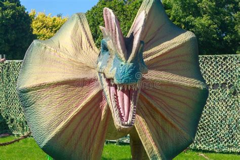 @devonboy3410 🏴󠁧󠁢󠁥󠁮󠁧󠁿🏴󠁧 tweet media