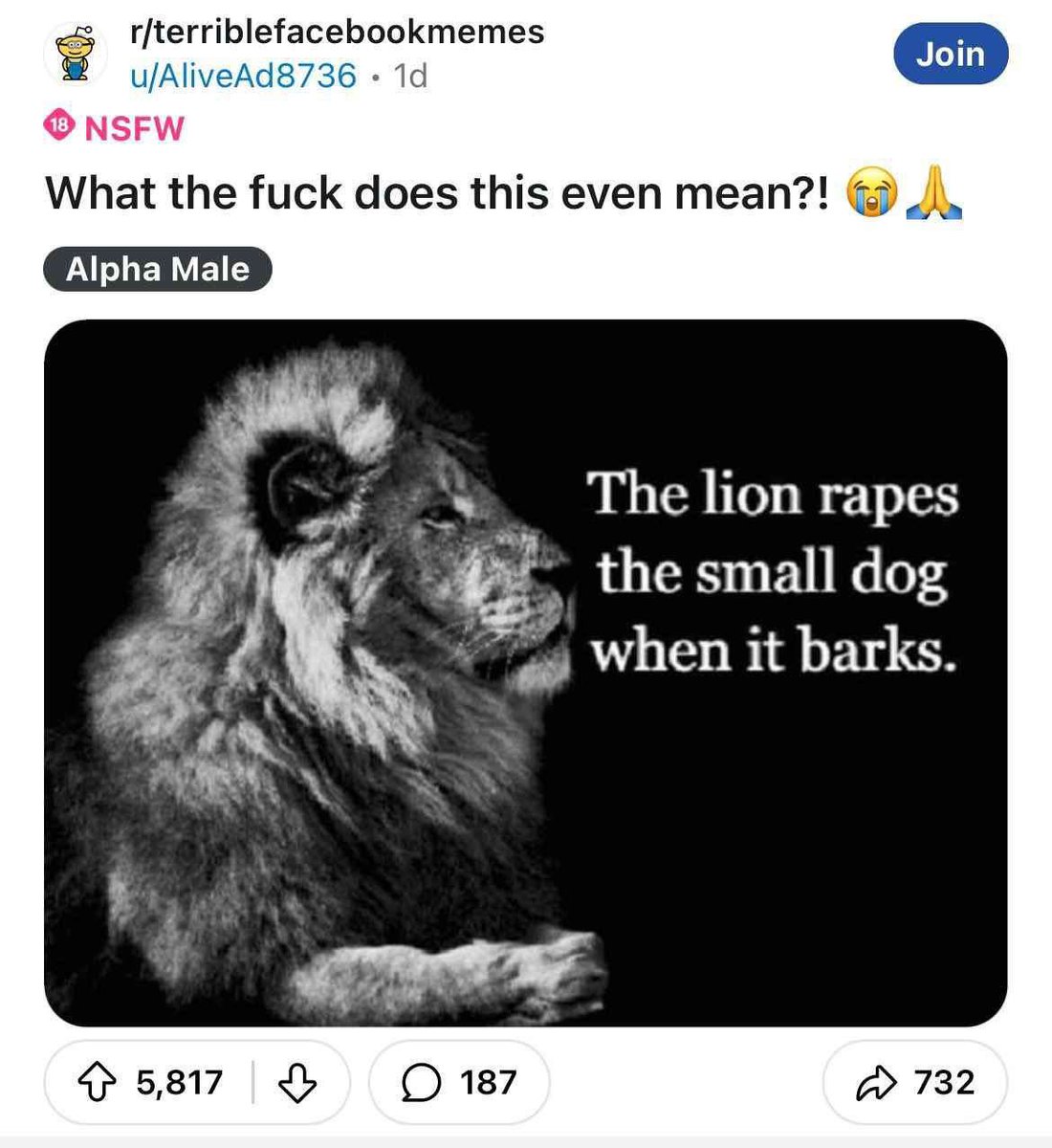 Shitpost Media tweet media