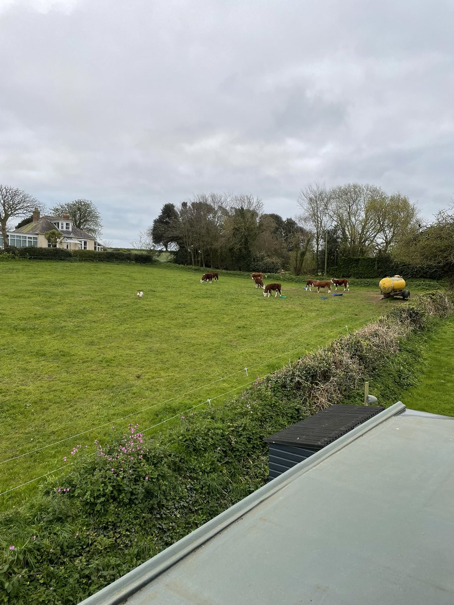 Gary Rich tweet media