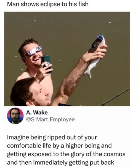 Orwell & Goode tweet media