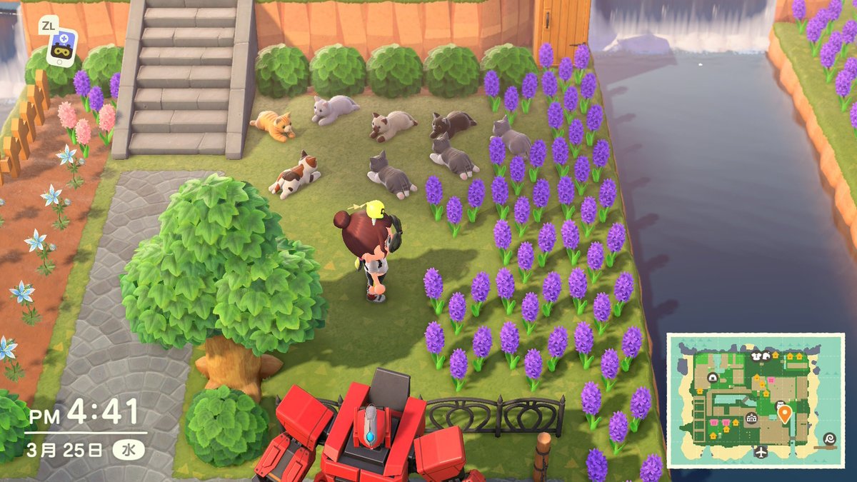 🫧ひな🐾🫧 tweet media