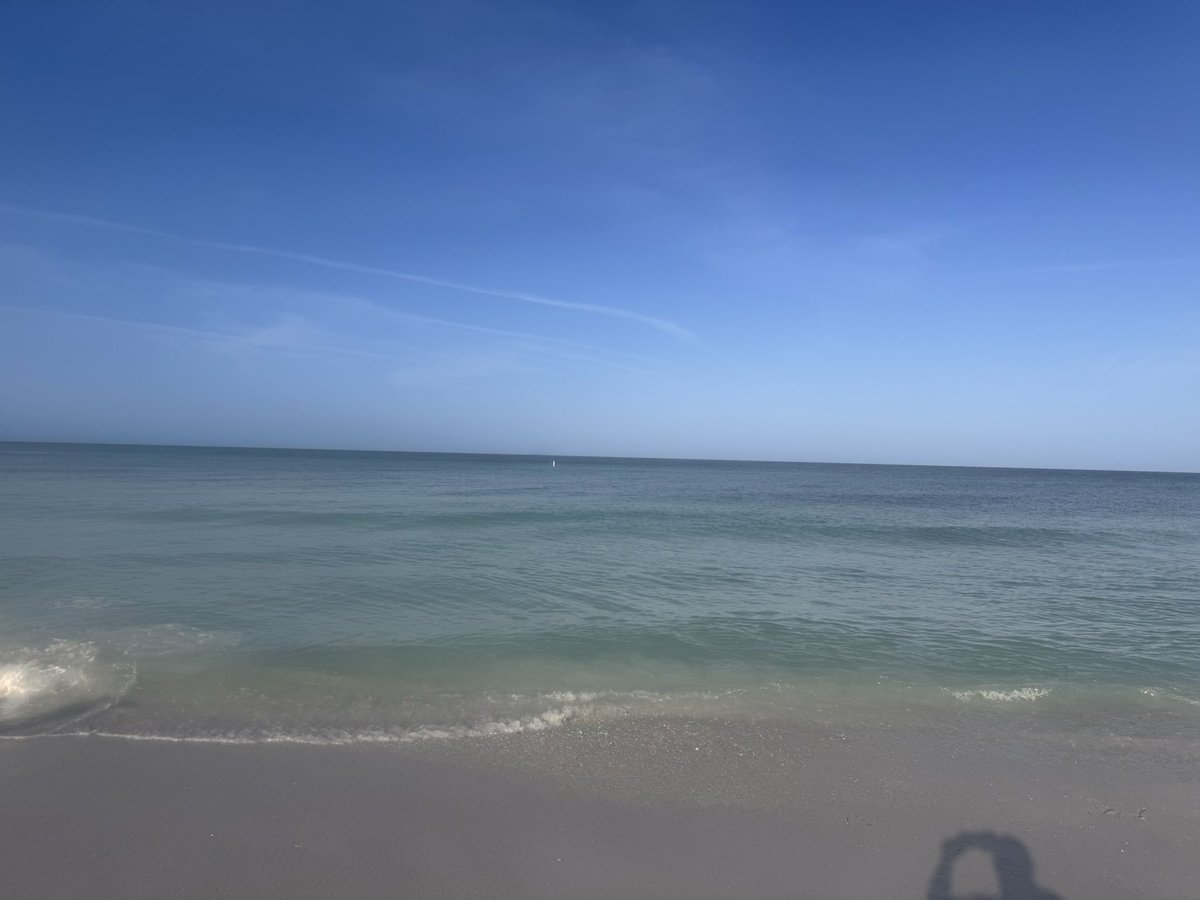 Bedtime🍄💤 @ultrakingdoms partner 🤝 tweet media