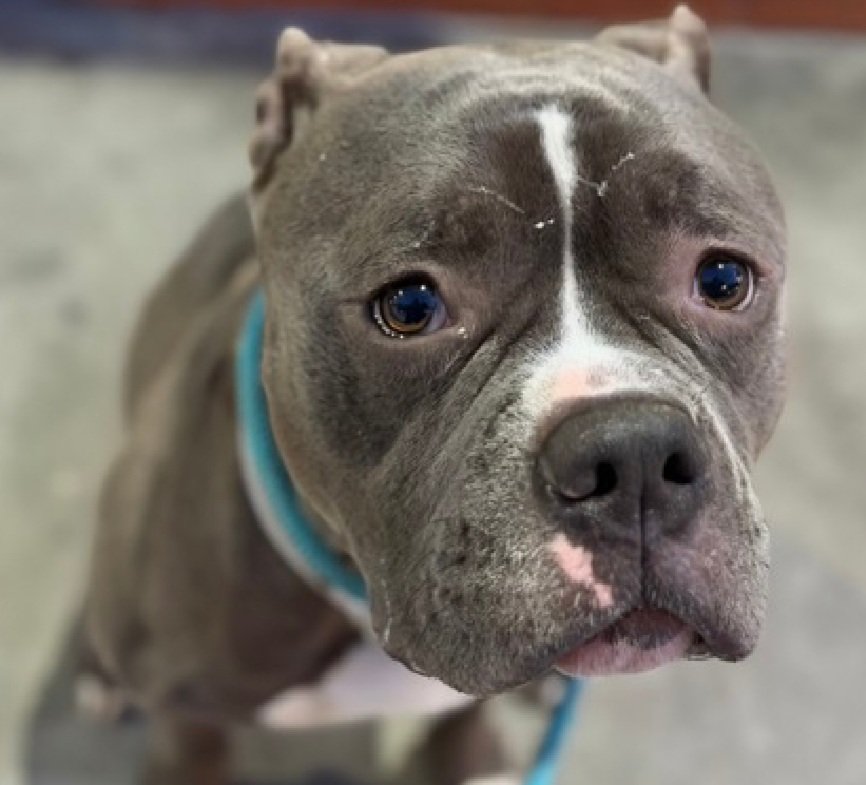 Julie🌻🐾 tweet media