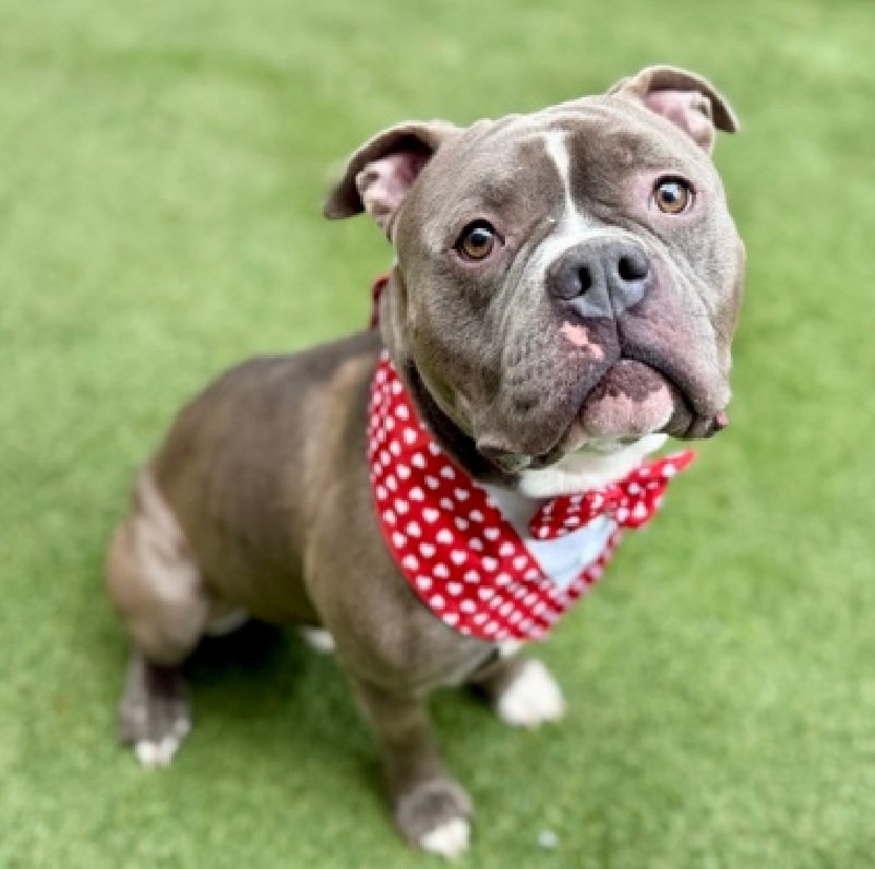 Julie🌻🐾 tweet media