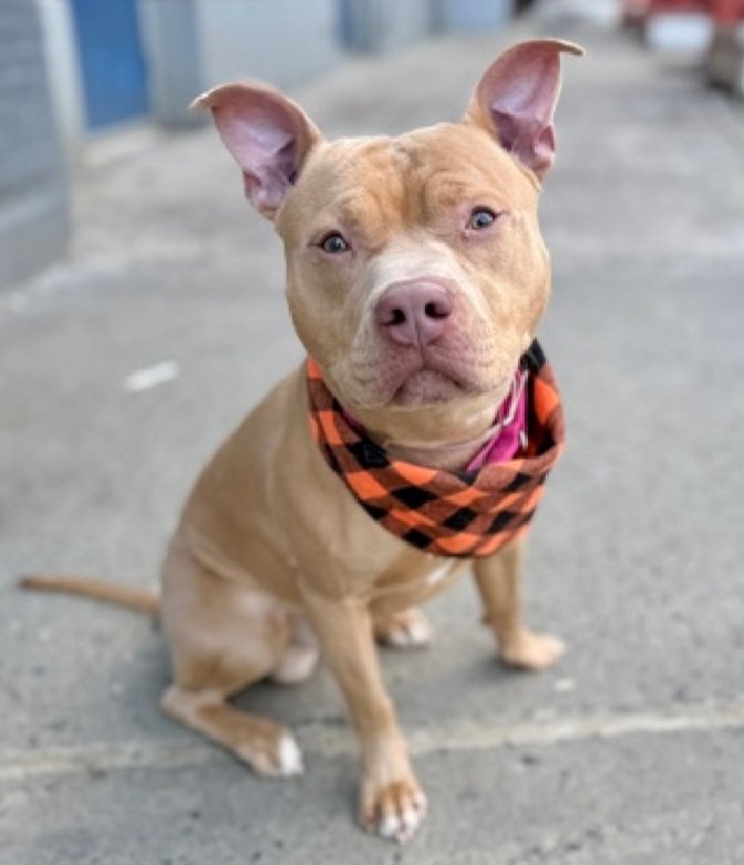 Julie🌻🐾 tweet media