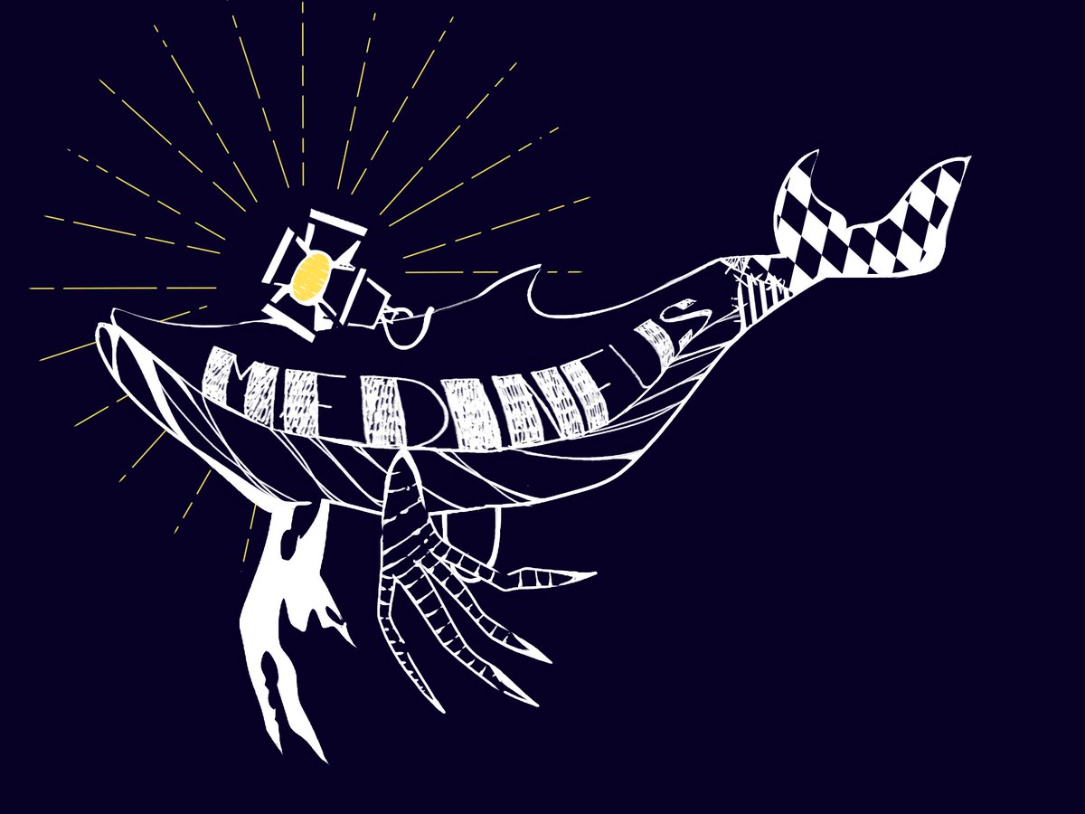 異匠衆団MEDINEUS tweet media