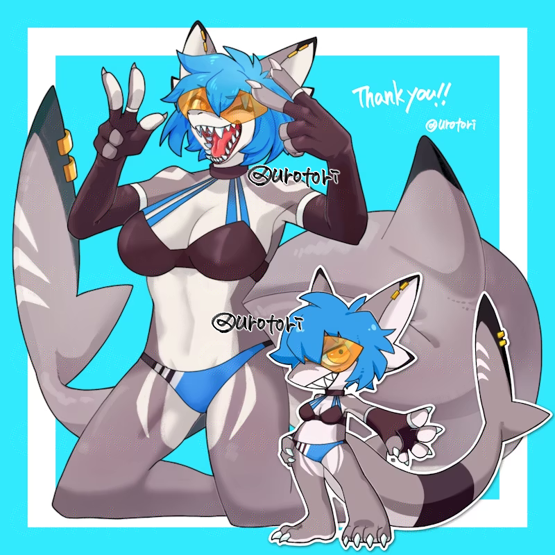 ウロトリ/urotori🪶 tweet media