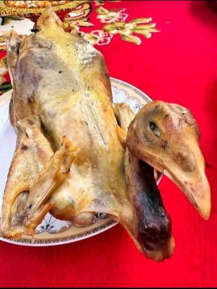 ألو أنا القطة tweet media