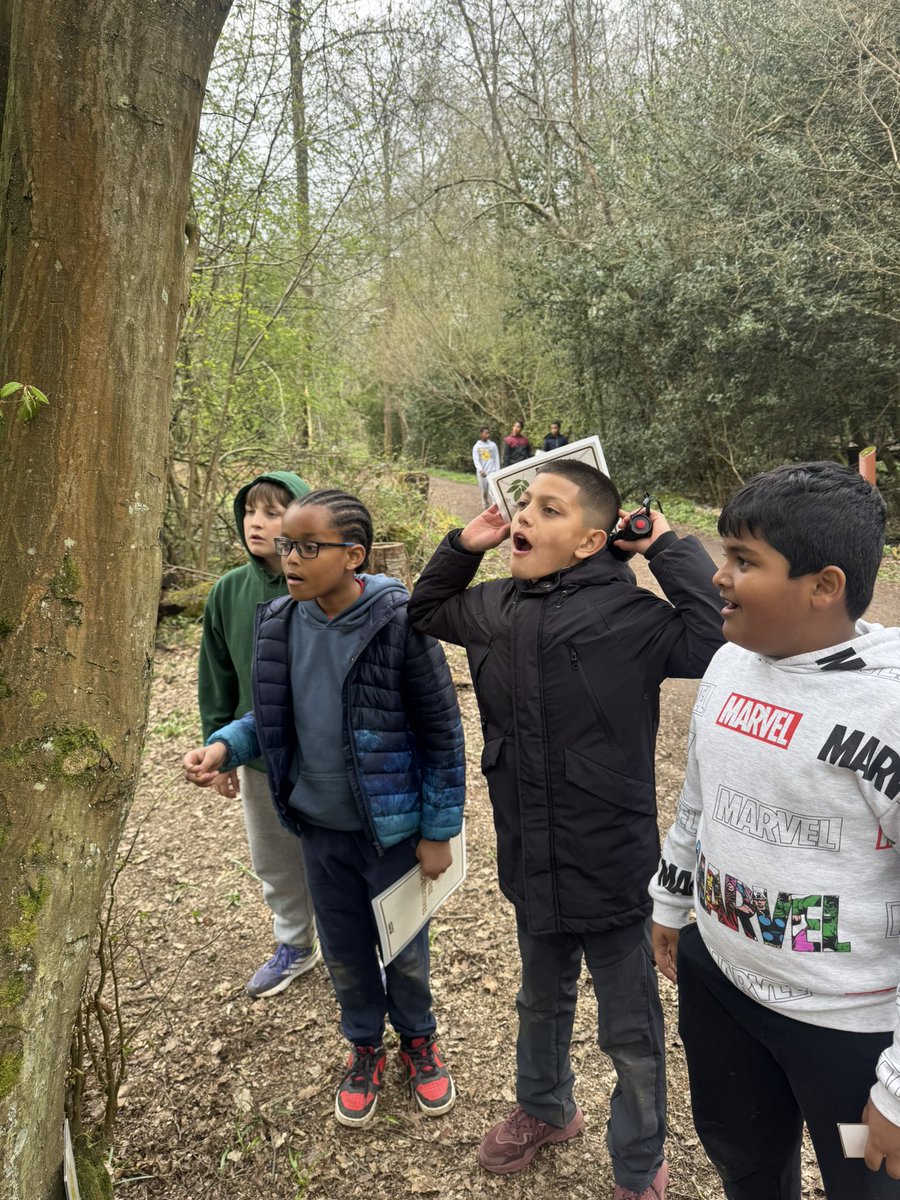 St Leonard's Primary tweet media