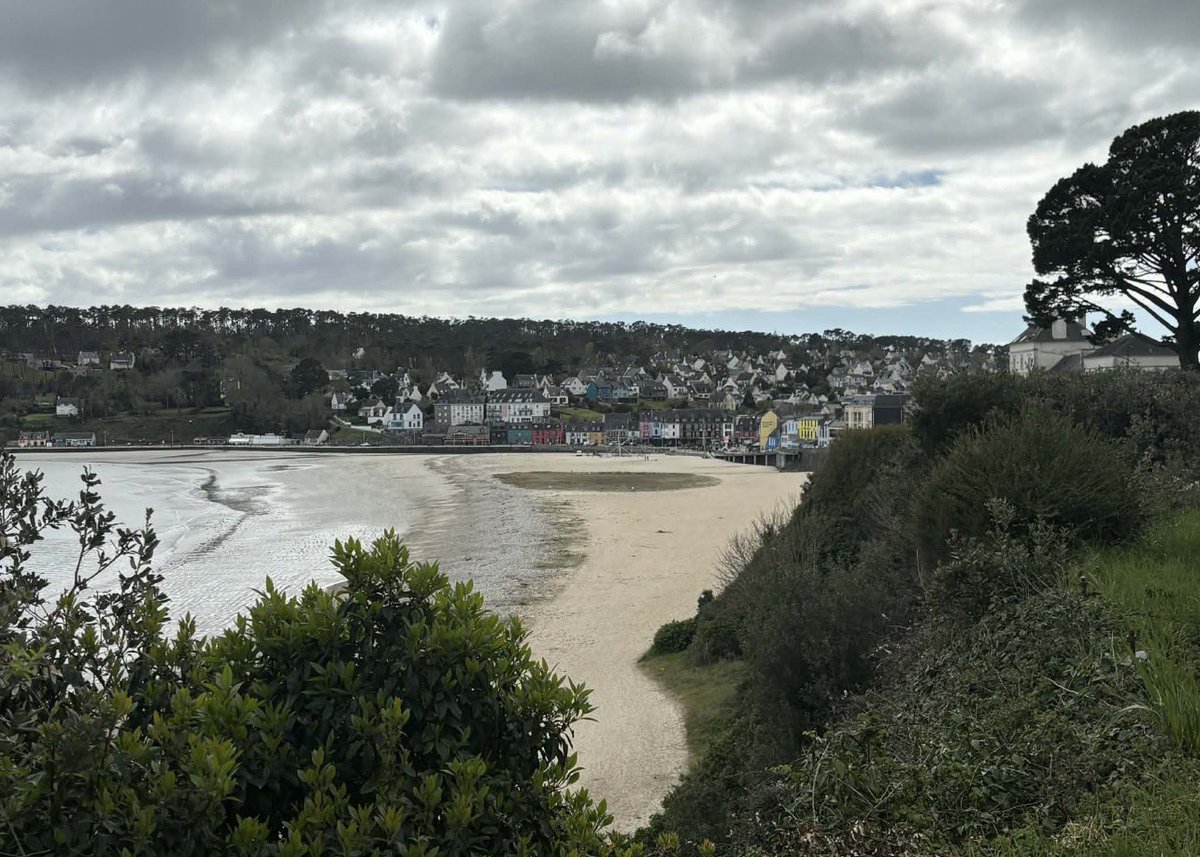 stéphane margot tweet media