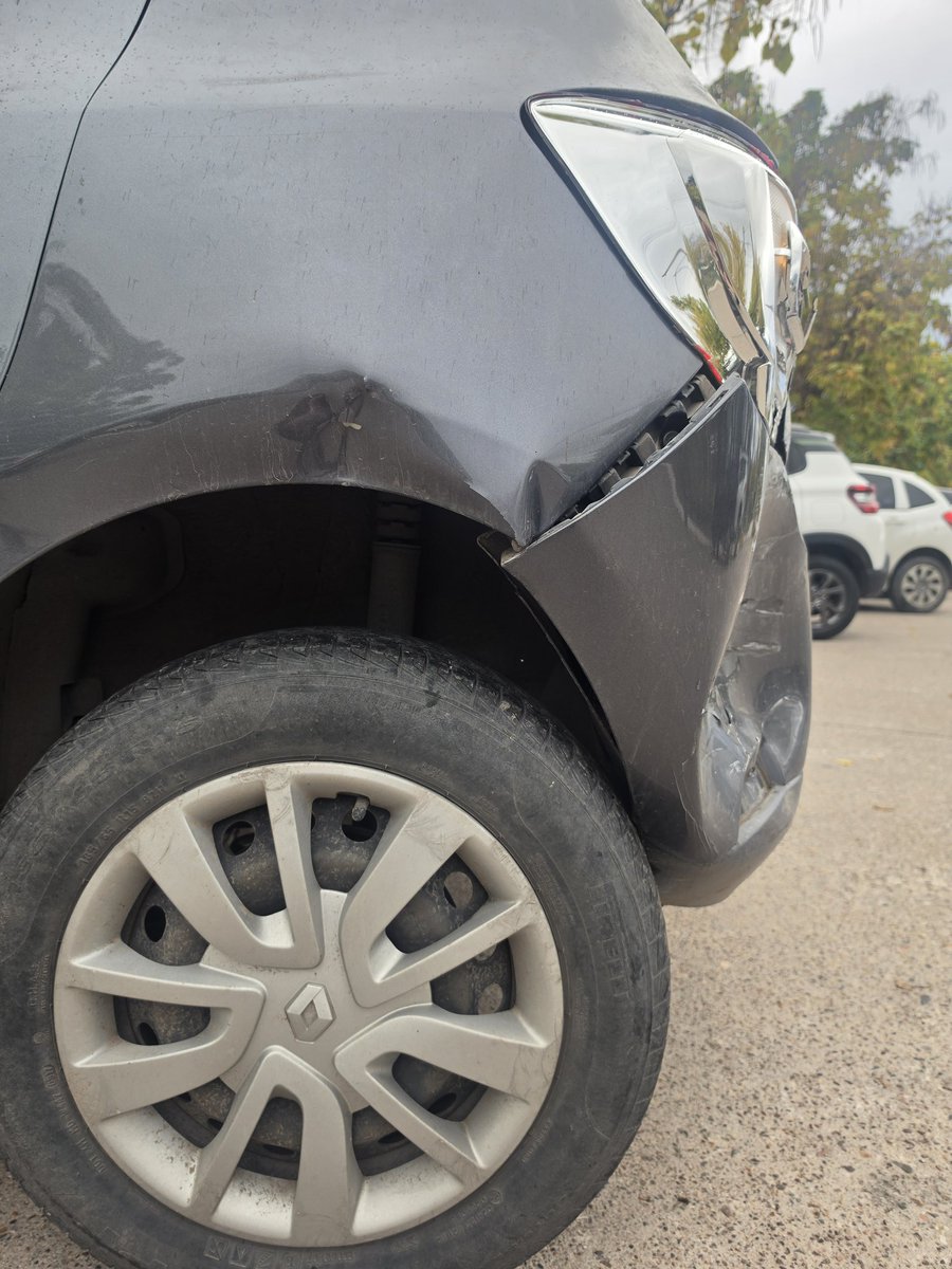 Luciana Sabina  tweet media