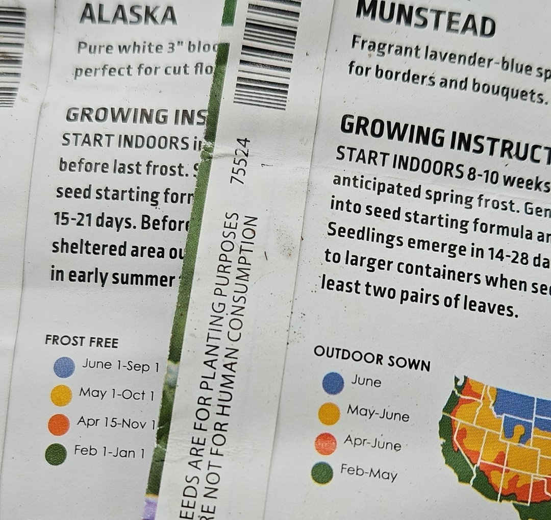 Satvrn🪐 tweet media