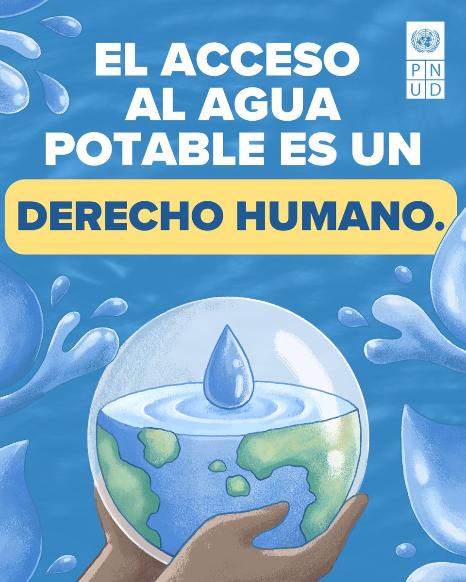 ONU Desarrollo tweet media