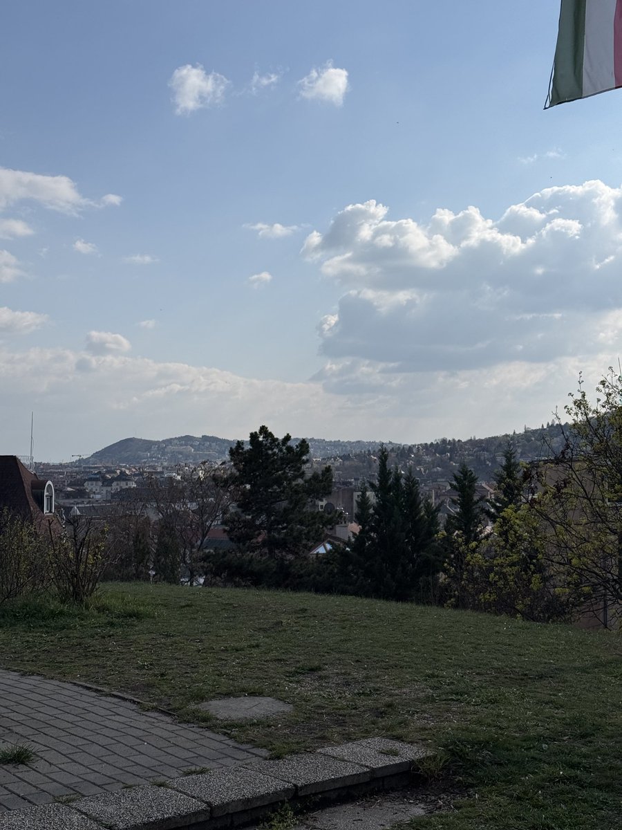 Kamill Tasi tweet media