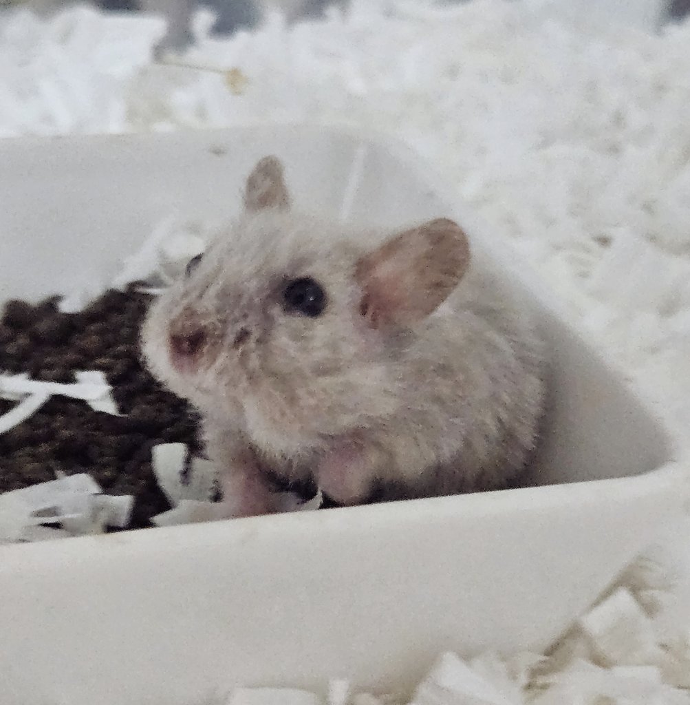 김엠므 tweet media