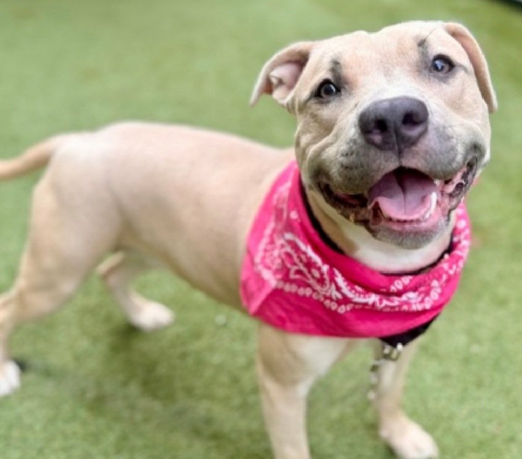 Julie🌻🐾 tweet media