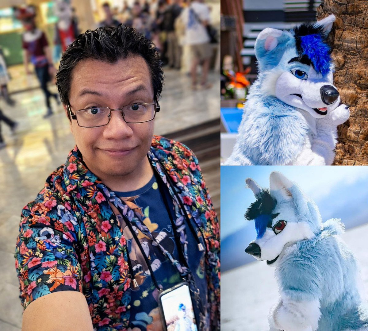 Cloud Husky Landar #LVFC (GOH) tweet media