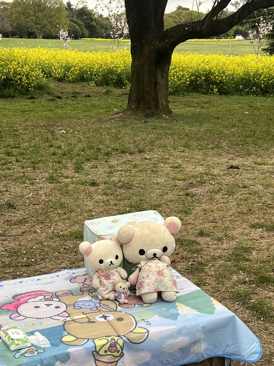 うちの子 tweet media