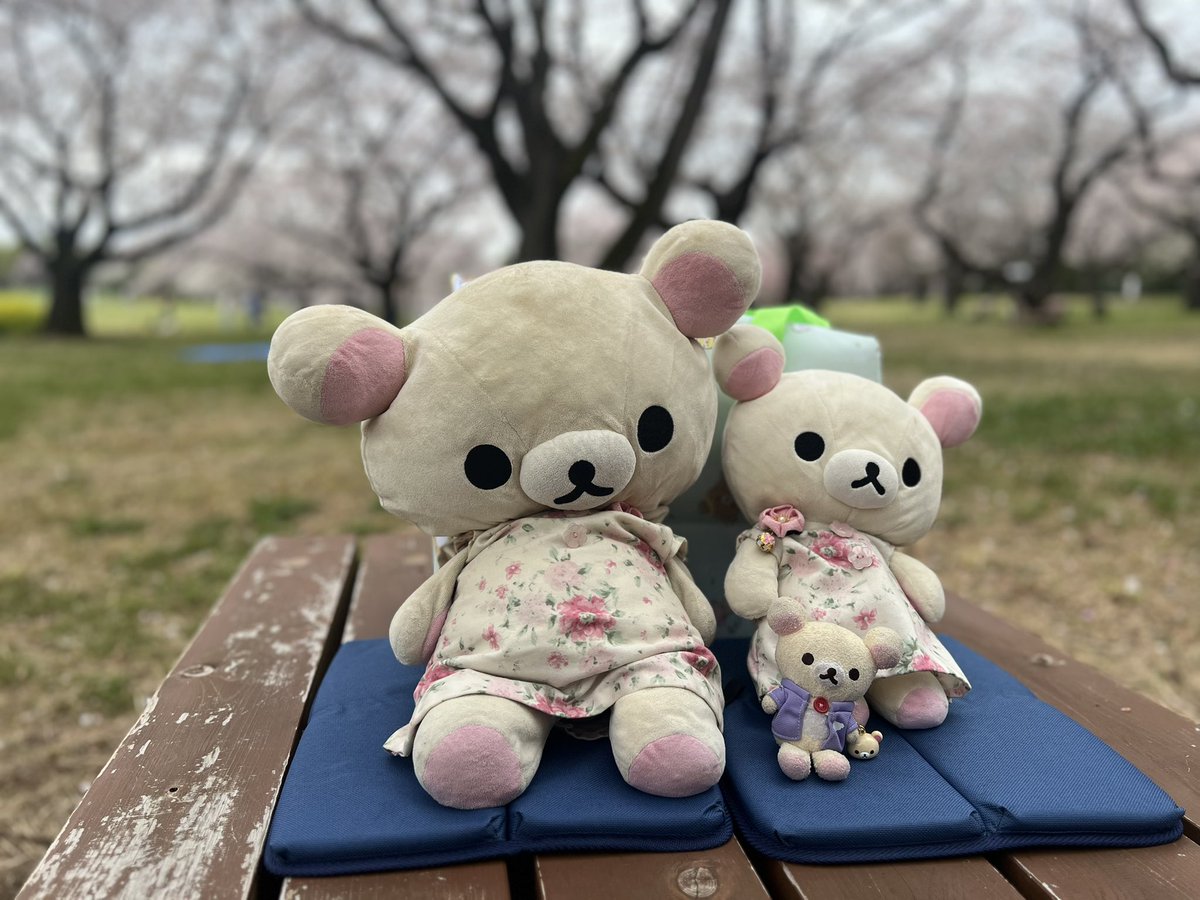 うちの子 tweet media