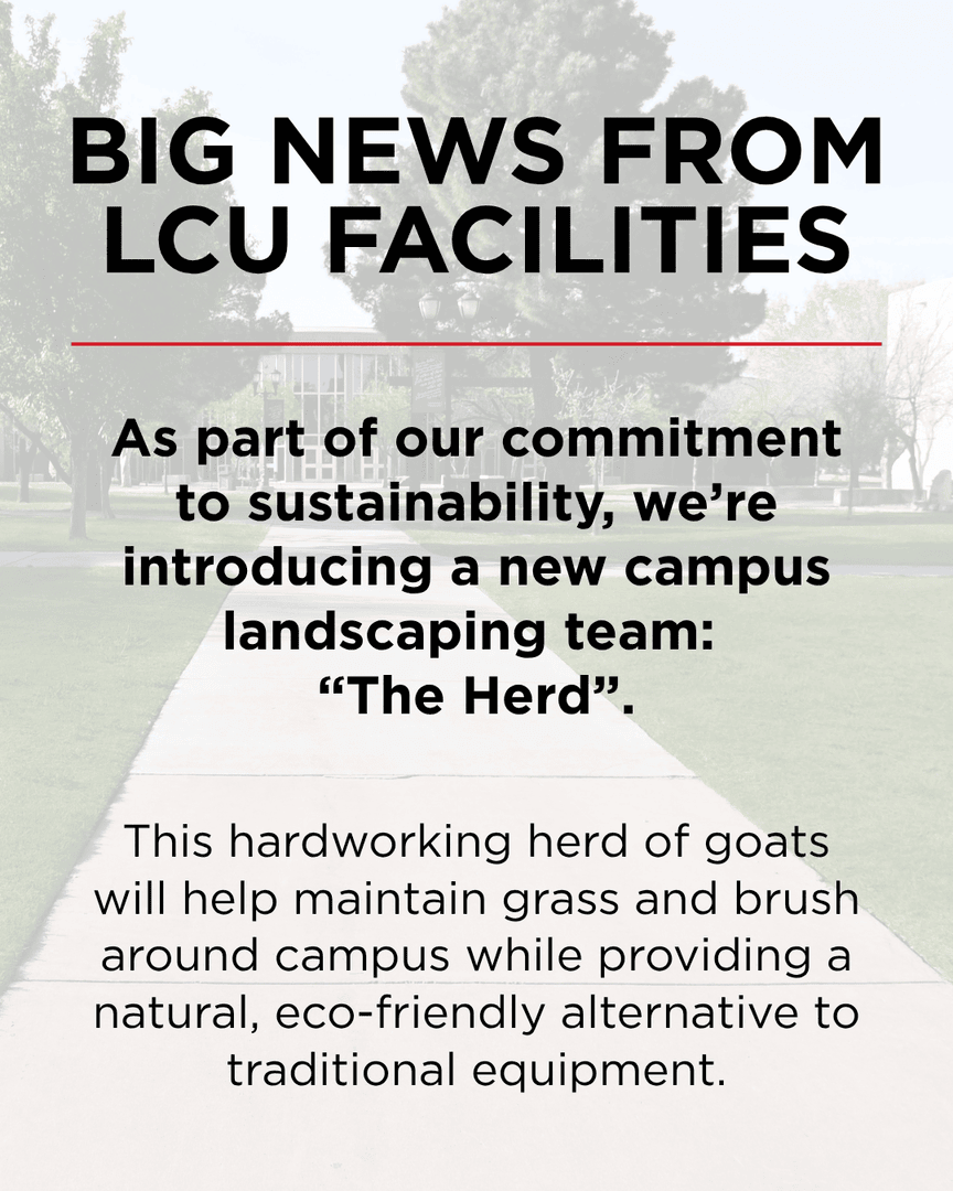 Lubbock Christian University tweet media