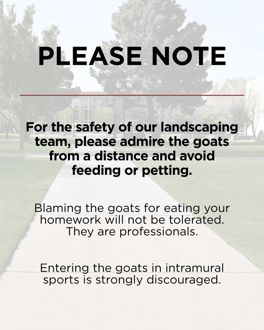 Lubbock Christian University tweet media