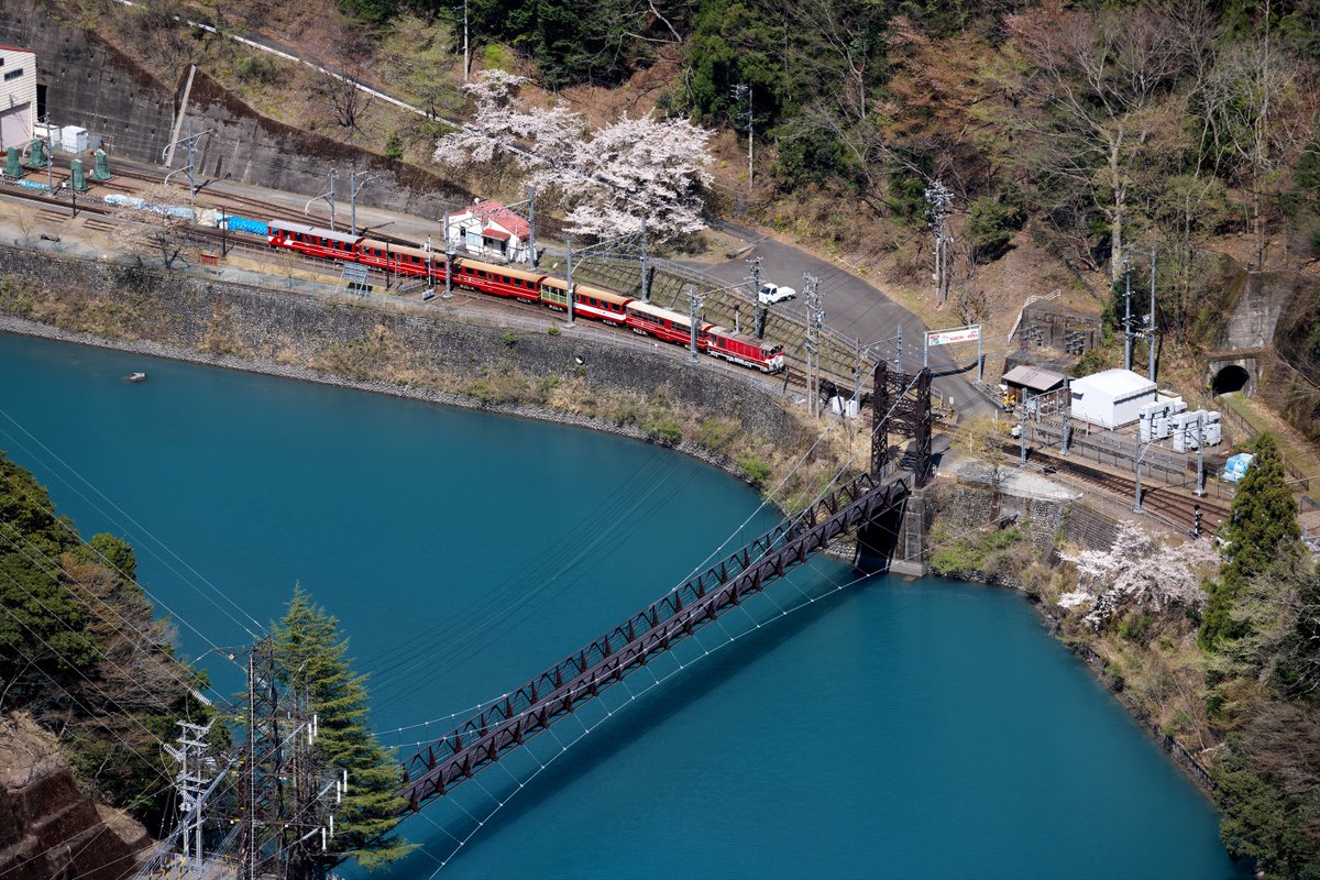 川猫山駅長 tweet media