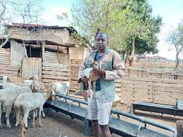 WinMore💪📚📐 za tweet media