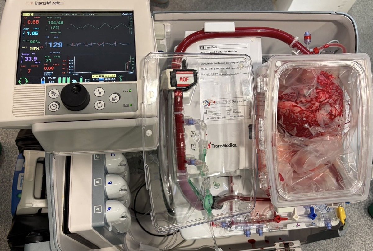 Jonah Lupton tweet media