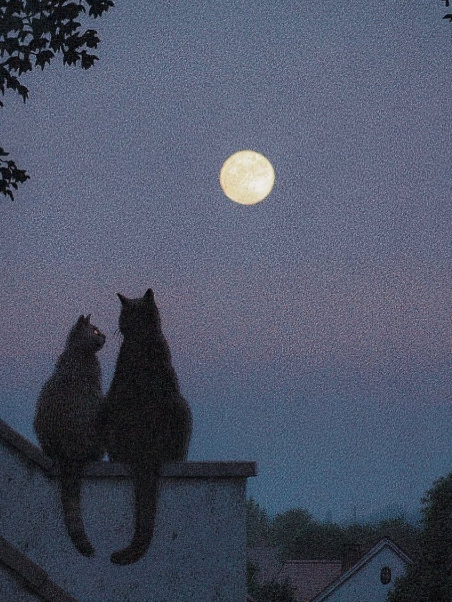 wannartcom's tweet photo. “Full moon.” https://t.co/039npOJP38