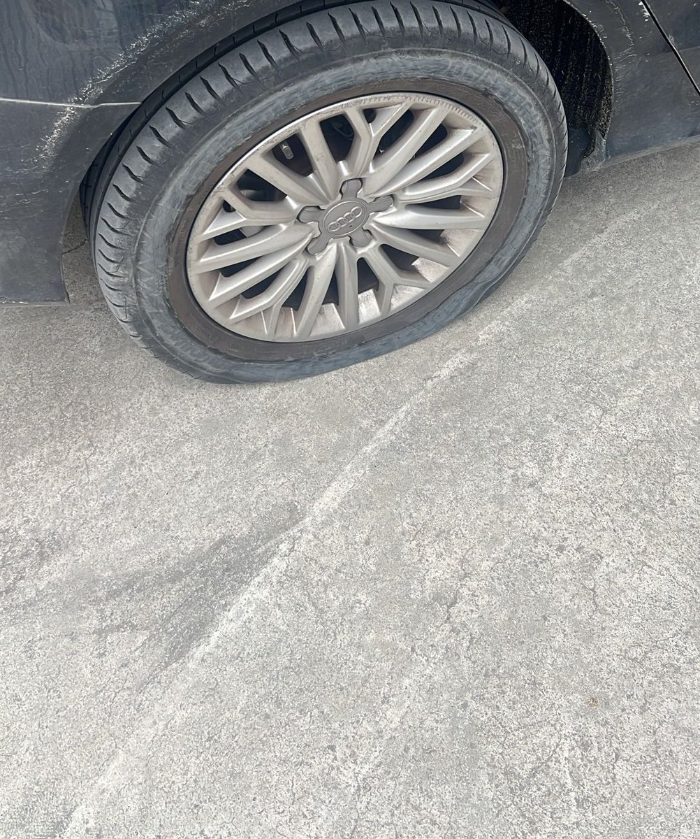 Aykut Korkutata tweet media