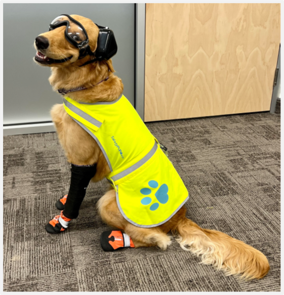 Price Industries tweet media