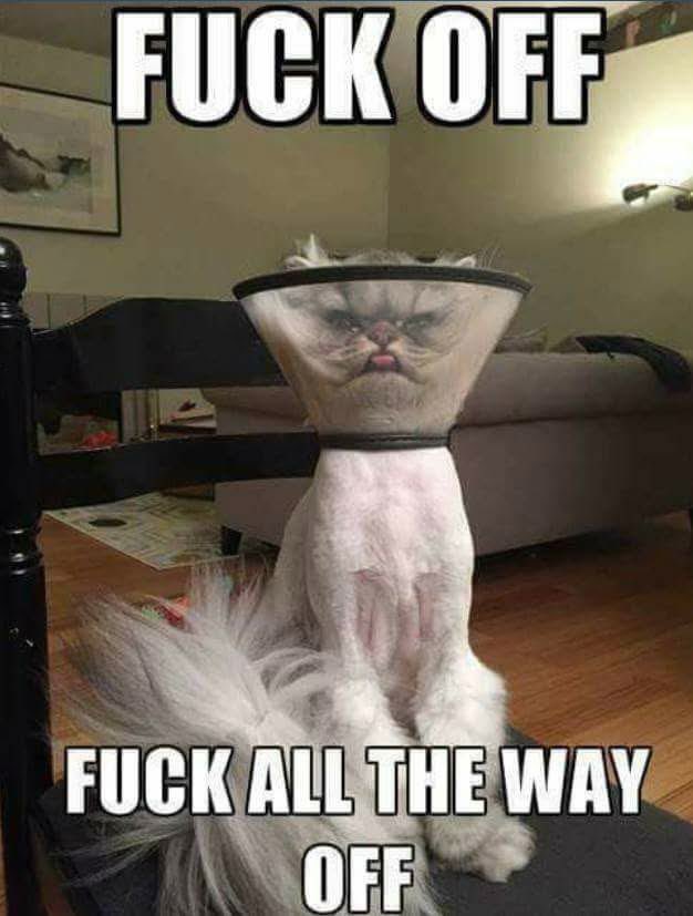 Colin Tudor 🇬🇧 tweet media