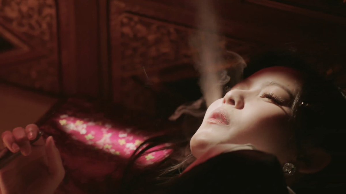 แมวงงในดงไหน😵‍💫 tweet media