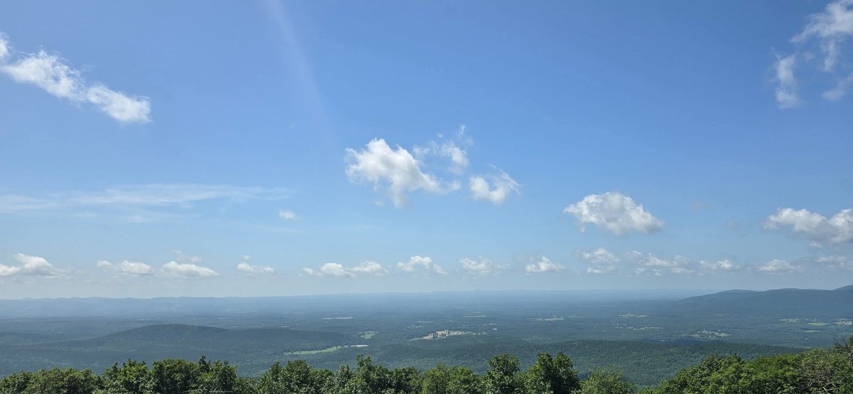 Trevor Butler tweet media