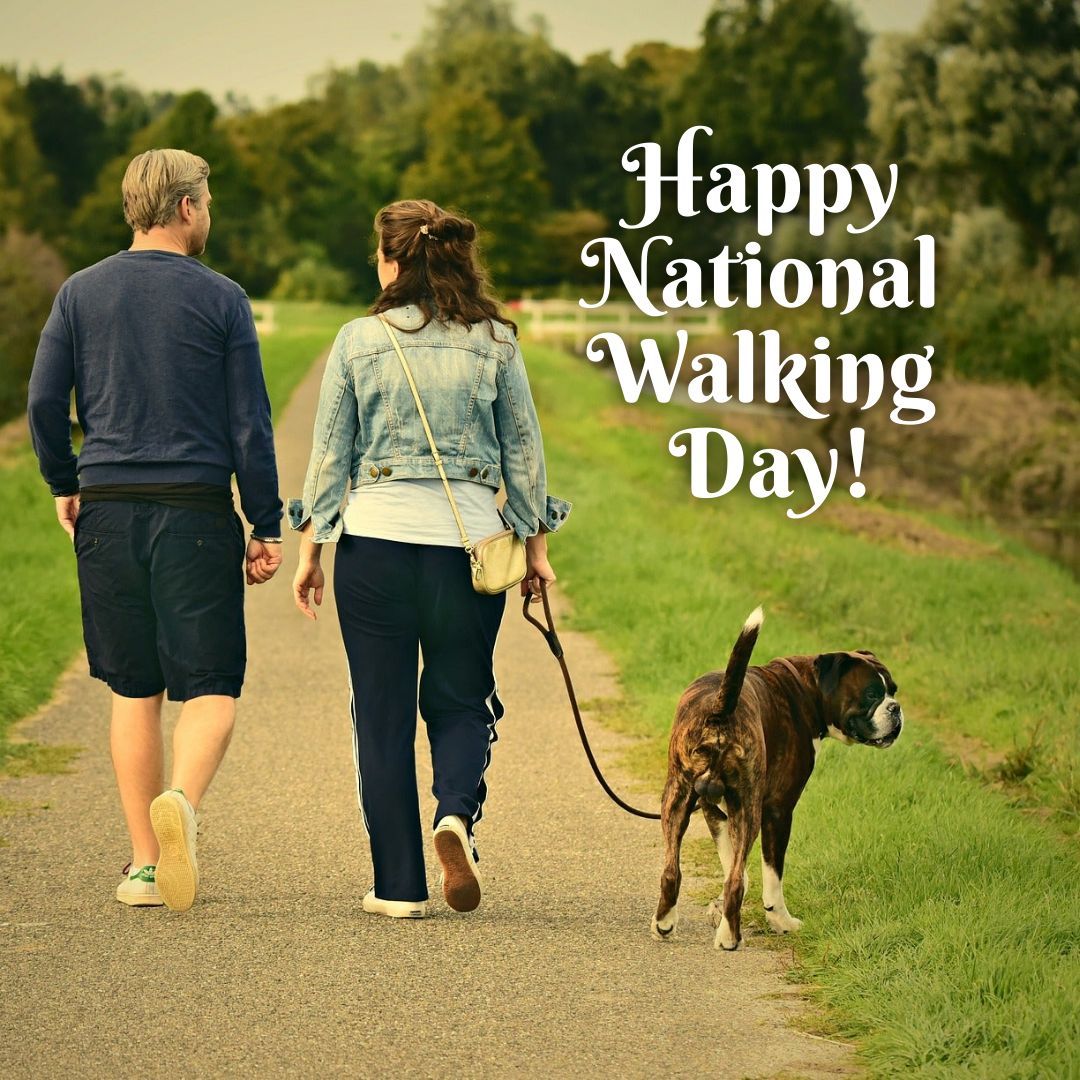 Heidi Main tweet media