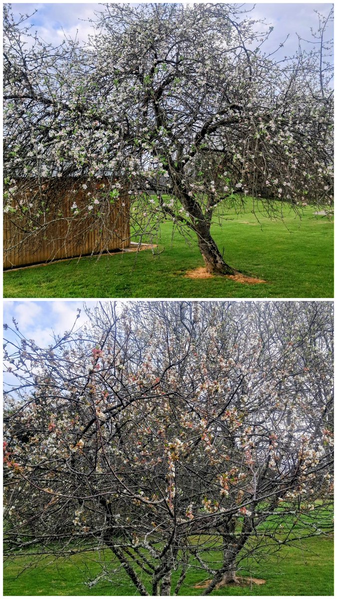 Ihatemarkkelly! tweet media